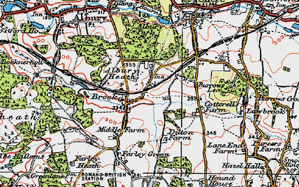 Old map of Albury Heath in 1920