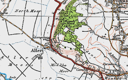 Old map of Aller Wood in 1919