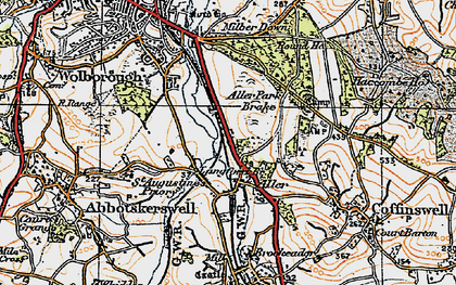Old map of Aller Park in 1919