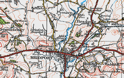 Old map of Allington in 1919
