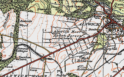 Old map of Alnwick Moor or Aydon Forest (Inner) in 1925