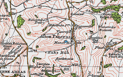 Old map of Alton Pancras in 1919