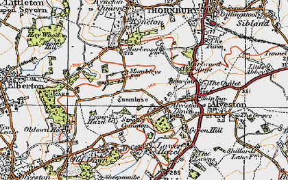 Old map of Alveston Down in 1919