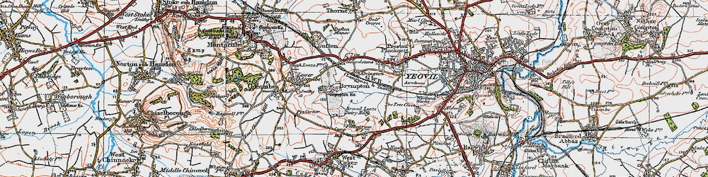 Old map of Alvington in 1919