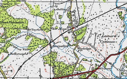 Old map of Ameysford in 1919