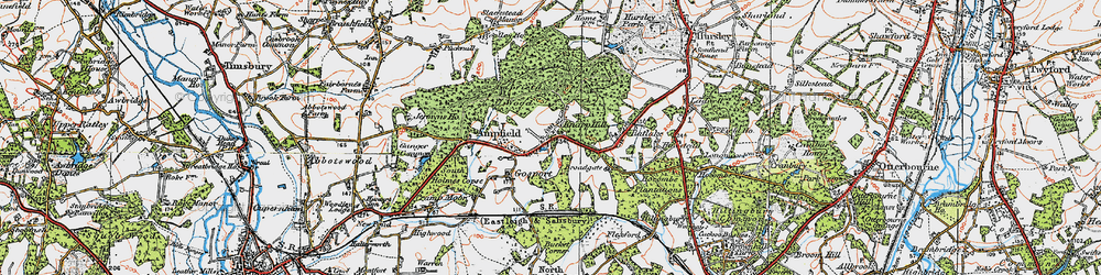 Old map of Ampfield in 1919