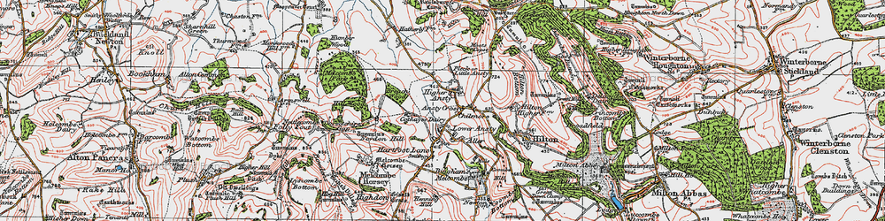 Old map of Ansty Cross in 1919