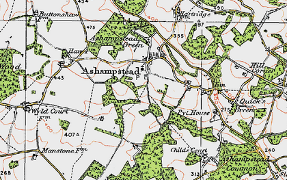 Old map of Ashampstead in 1919