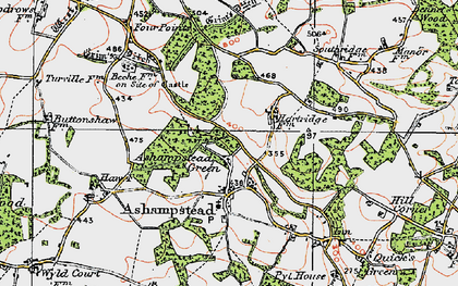 Old map of Ashampstead Green in 1919