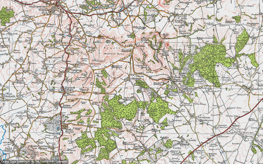 Old Map of Historic Map covering Ashmore Down in 1919