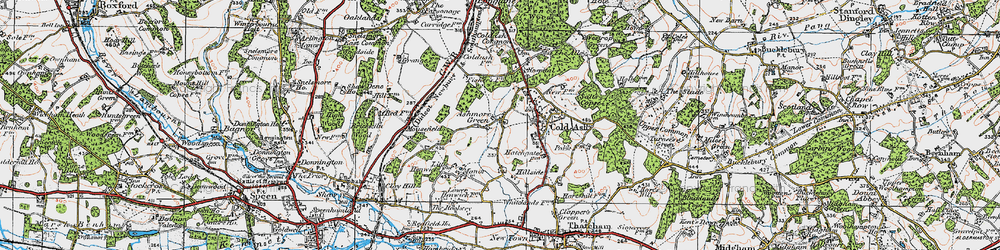 Old map of Ashmore Green in 1919