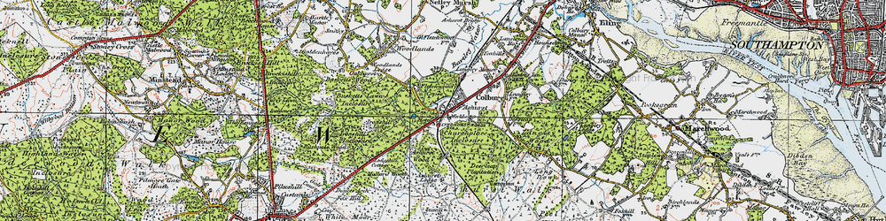 Old map of Ashurst (New Forest) Station in 1919