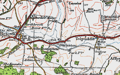 Old map of Athelhampton in 1919