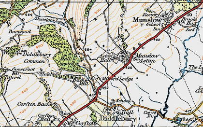 Old map of Bache Mill in 1920