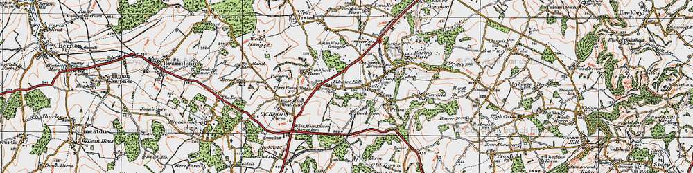 Old map of Ashen Wood Ho in 1919