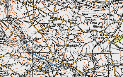 Old map of Baldhu in 1919