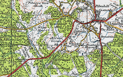 Old map of White Moor in 1919