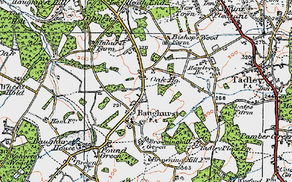 Old map of Baughurst in 1919
