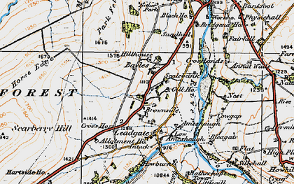 Old map of Brownside Moss in 1925
