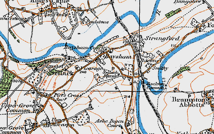 Old map of Backney in 1919