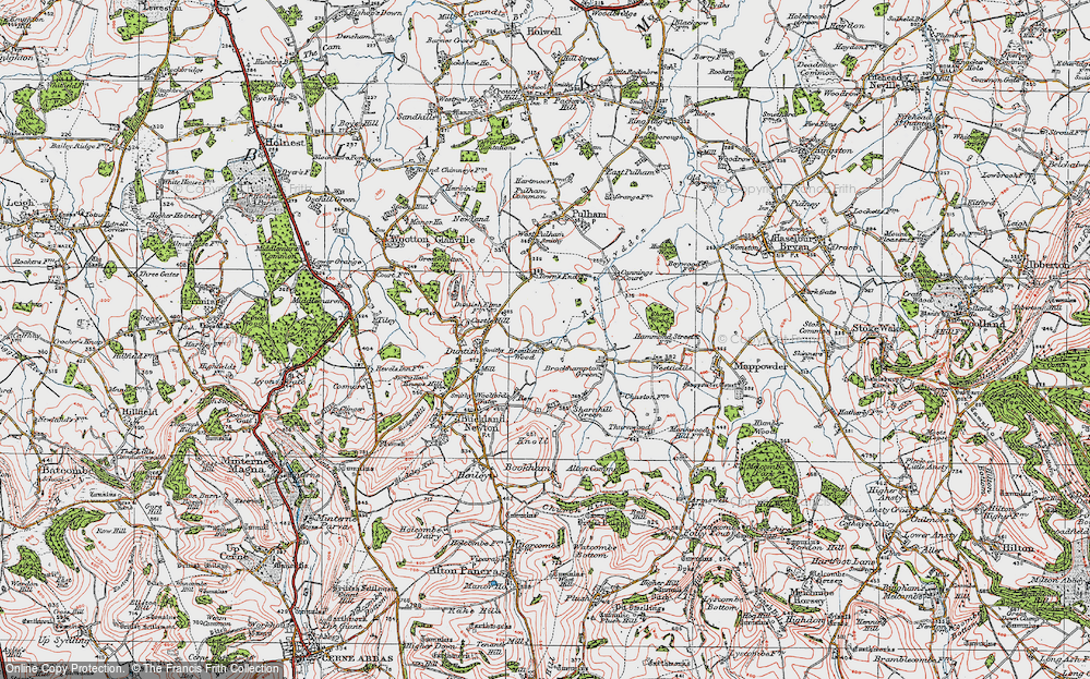 Old Map of Beaulieu Wood, 1919 in 1919