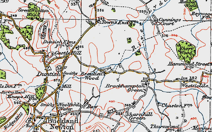 Old map of Beaulieu Wood in 1919