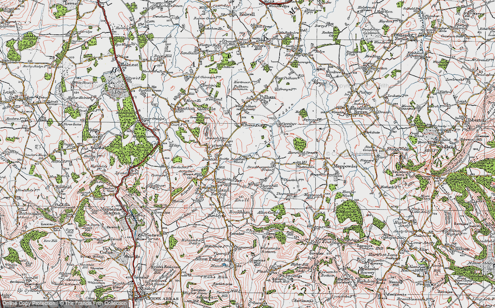 Beaulieu Wood, 1919