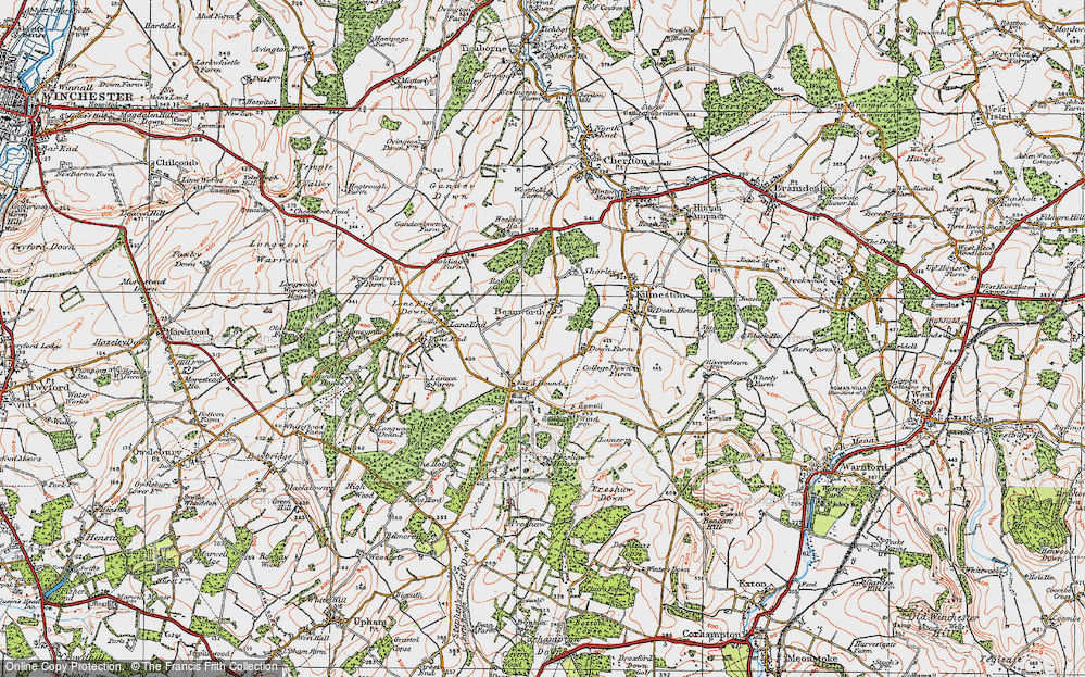 Old Map of Beauworth, 1919 in 1919