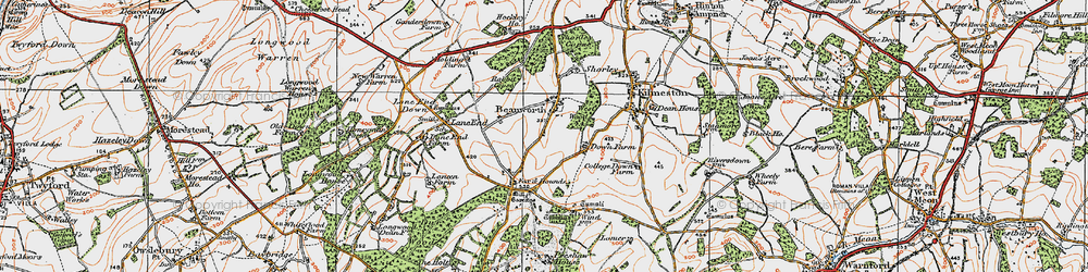 Old map of Beauworth in 1919