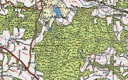 Old map of Bedgebury in 1921