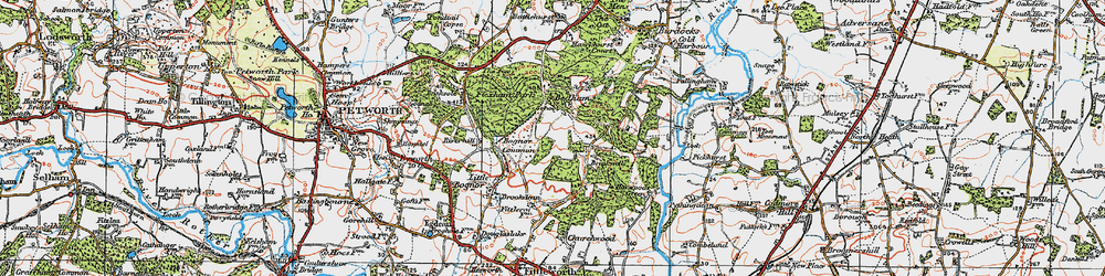 Old map of Bedham in 1920