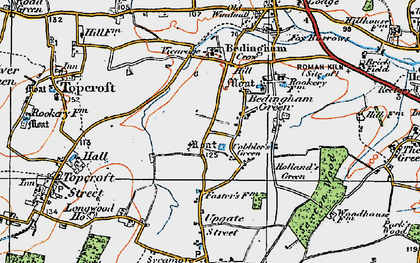Old map of Bedingham Green in 1921
