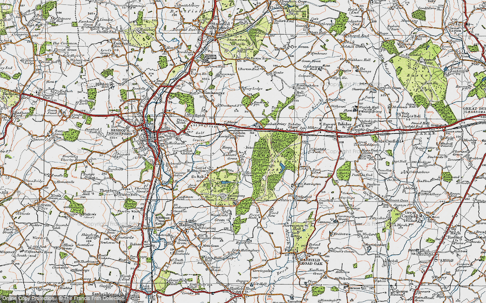 Old Map of Bedlar's Green, 1919 in 1919