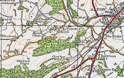 Old map of Ackender Wood in 1919