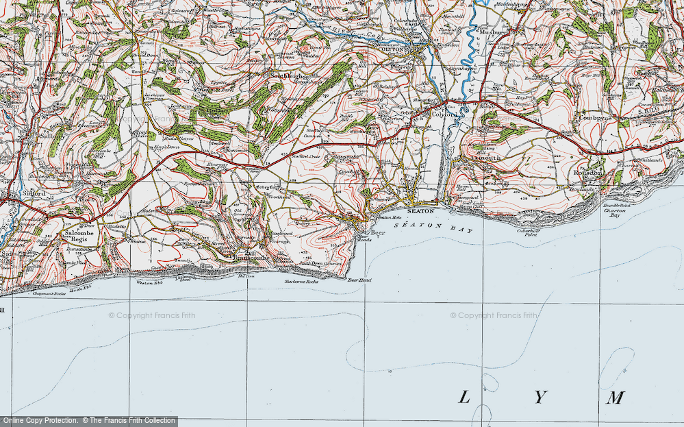 Old Map of Historic Map covering Stafford Cross in 1919