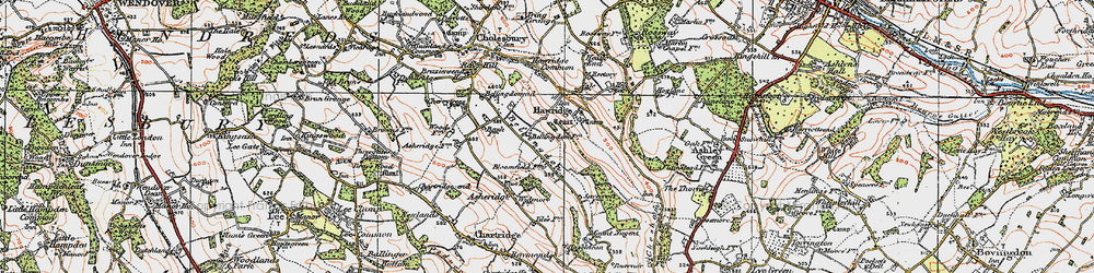 Old map of Bellingdon in 1920