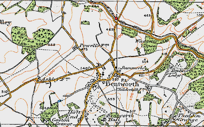 Old map of Bentworth in 1919