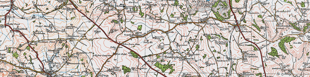Old map of Toller Down Gate in 1919