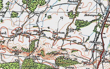 Old map of Bepton Down in 1919