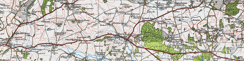 Old map of Bere Regis in 1919