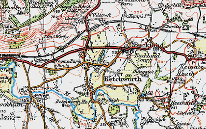 Old map of Betchworth in 1920