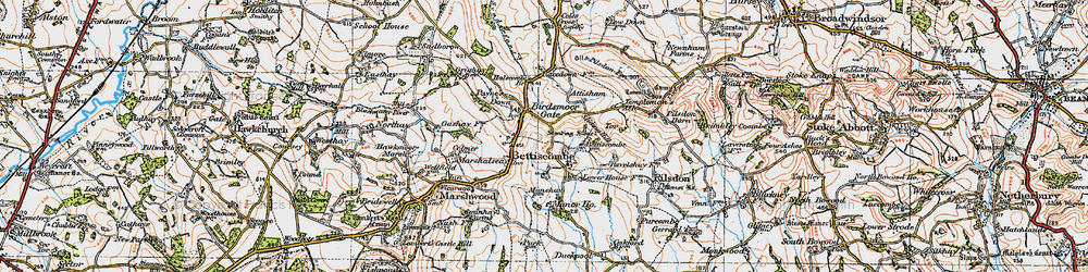 Old map of Bettiscombe in 1919