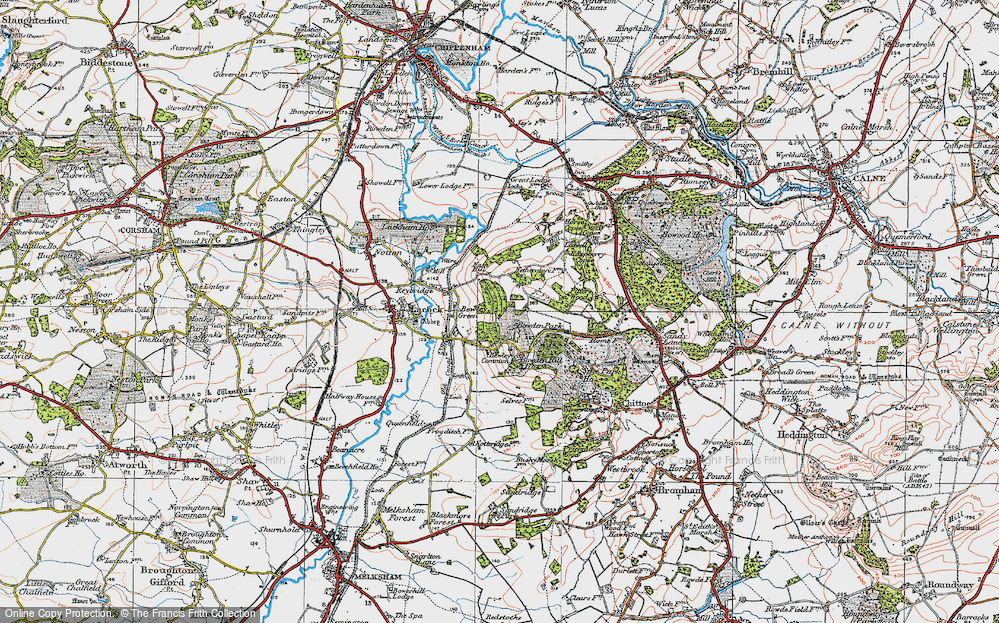 Old Map of Bewley Common, 1919 in 1919