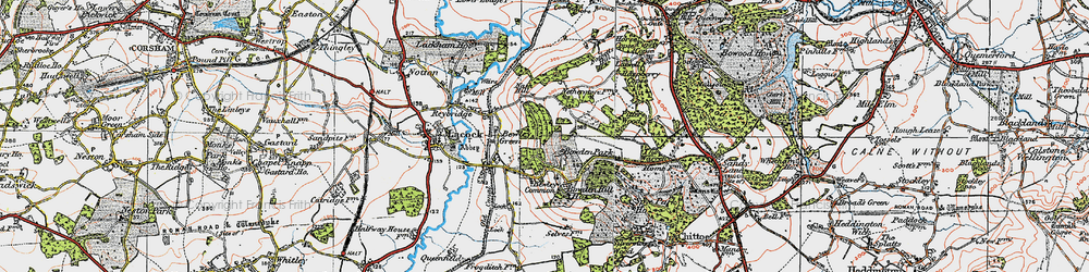 Old map of Bewley Common in 1919
