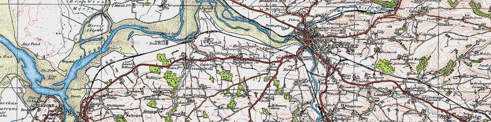 Old map of Bickington in 1919