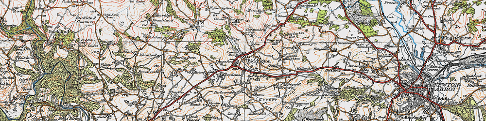 Old map of Bickington in 1919