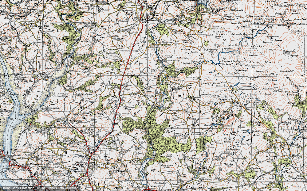 Old Map of Historic Map covering Bickleigh Vale in 1919
