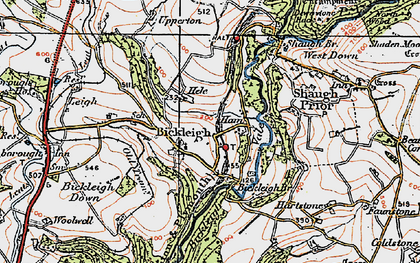 Old map of Bickleigh in 1919