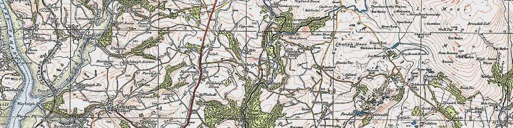 Old map of Bickleigh Vale in 1919