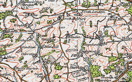 Old map of Bilsdon in 1919